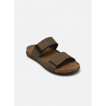 Scholl Gregor Comfort - Sandales et nu-pieds - Disponible en 40