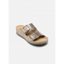 Scholl Aberdeen comfort - Mules et sabots - Disponible en 40