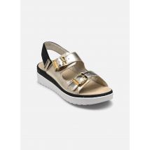 Scholl - Sandalen Camaiore Buckle B/S comfort - gold/bronze - Größe 39