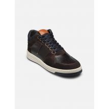 Marvin&Co Wolenn Marron - Baskets - Disponible en 43