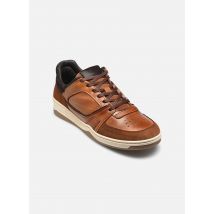 Marvin&Co Welvina Marron - Baskets - Disponible en 44