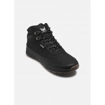 Kaporal Bazane Zwart - Sneakers - Beschikbaar in 42