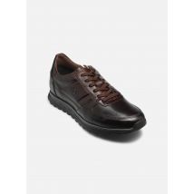 Bugatti Dio Marron - Baskets - Disponible en 44