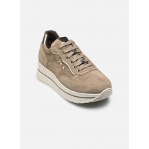 NeroGiardini - I514105D - Beige - Deportivas