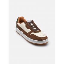 Schmoove Brooklyn Preppy M Multicolore - Baskets - Disponible en 43