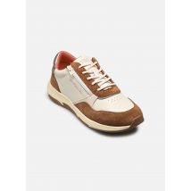 TBS JAZAZIP Beige - Sneaker - Größe 38