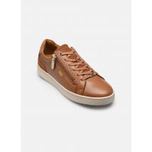 TBS VINISIA Marron - Baskets - Disponible en 38