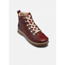 Pikolinos VIGO W3W-8564 - Bottines et boots - Disponible en 40