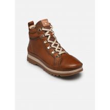 Stiefeletten & Boots VIGO W3W-N8564ST Braun - Pikolinos - Größe 42