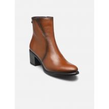 Dorking - Botines LEXI D9529 - Marrón