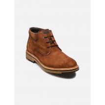 Bottines et boots KASPER F1816 Marron - Fluchos - Disponible en 43