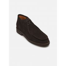 Chaussures à lacets A7025 Marron - Billi Bi - Disponible en 40