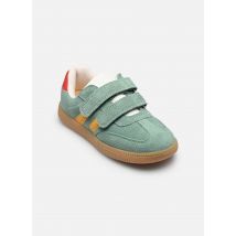 Shoo Pom Yuzu Lo Scratch Vert - Baskets - Disponible en 32