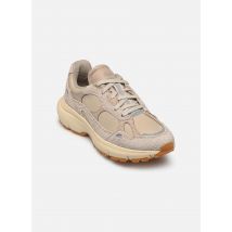 Timberland - Hazel Lane Low - beige - Sneaker - Größe 39