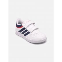 adidas sportswear - Hoops 4.0 Cf C - blau - Sneaker - Größe 33