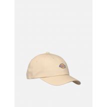 Casquettes Hardwick Whitecap Blanc - Dickies - Disponible en T.U