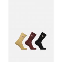 Chaussettes et collants Valley Grove Socks Bordeaux - Dickies - Disponible en 39 - 42