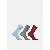 Chaussettes et collants Summerdale 3Pk Blanc - Dickies - Disponible en 43 - 46