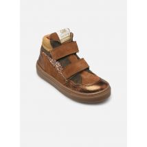 GBB - Dominant - Marrón - Deportivas