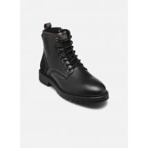 Bullboxer - Botines Jite - Gris