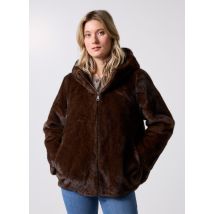 Kleding Morzine Bruin - COLD BAY - Beschikbaar in L