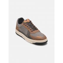 Bullboxer - Juvisu Grigio - Sneakers