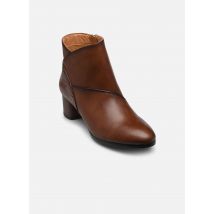 Pikolinos CALAFAT W1Z-8575C1 - Bottines et boots - Disponible en 41