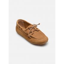 Rose et Martin - Zapatos con cordones BARISAAC - Marrón