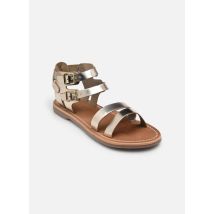 L'Atelier Tropézien - Sandalias S-SH3319 - Oro y bronce