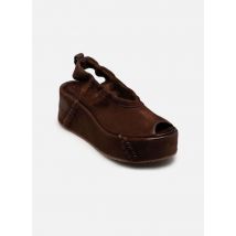 AS98 - Sandalias B99007 - Marrón