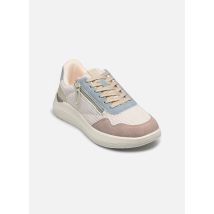 Comfeet ALUMINE W16406 Meerkleurig - Sneakers - Beschikbaar in 37