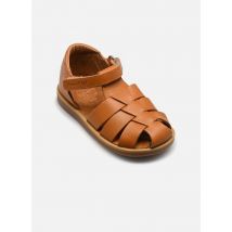 Pom d Api - Sandalias Poppy Air Pur Dad - Marrón