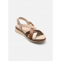 Sandalen CAMBRIDGE-S 12-26508 Meerkleurig - Ara - Beschikbaar in 39