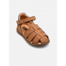 Sandalen Fondant Bruin - GBB - Beschikbaar in 22