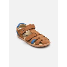 Primigi - PNI 14165 Marrone - Sandali e scarpe aperte