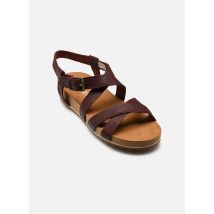 Timberland BACKSTRAP SANDAL Bordeaux - Sandales et nu-pieds - Disponible en 41