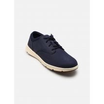 Timberland PARKER STREET Bleu - Baskets - Disponible en 43