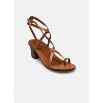 Sandales et nu-pieds Sandale 55MM à Lanières en Cuir Marron - Vanessa Bruno - Disponible en 41