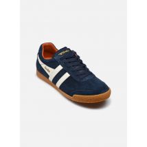 Gola Harrier Suede Bleu - Baskets - Disponible en 42