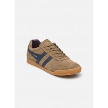 Gola Harrier Suede M Marron - Baskets - Disponible en 45