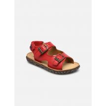 Stones and Bones Wham - Sandales et nu-pieds - Disponible en 26