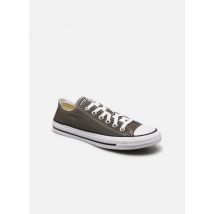 Converse Chuck Taylor All Star Ox W Gris - Baskets - Disponible en 40