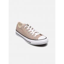 Converse Chuck Taylor All Star Ox W Gris - Baskets - Disponible en 36