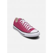 Converse Chuck Taylor All Star Ox M Violet - Baskets - Disponible en 43