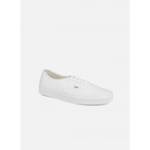 Vans Authentic Blanc - Baskets - Disponible en 44