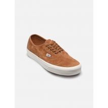 Vans Authentic Marron - Baskets - Disponible en 39