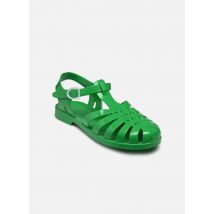 Méduse Sun M - Chaussures de sport - Disponible en 42