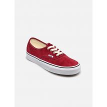 Vans Authentic w Bordeaux - Baskets - Disponible en 37