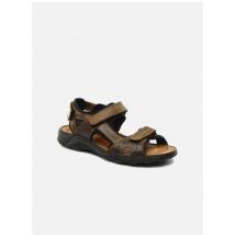 Rieker Christian - Sandales et nu-pieds - Disponible en 45