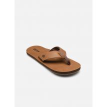 Tongs Leather Smoothy Marron - Reef - Disponible en 44